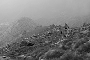 Alpe Torriggia dall'alto.......
